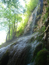 slapnica