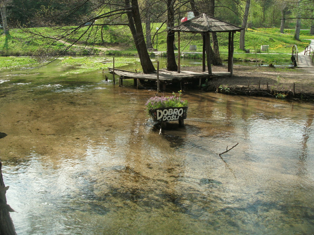 GEDSC DIGITAL CAMERA