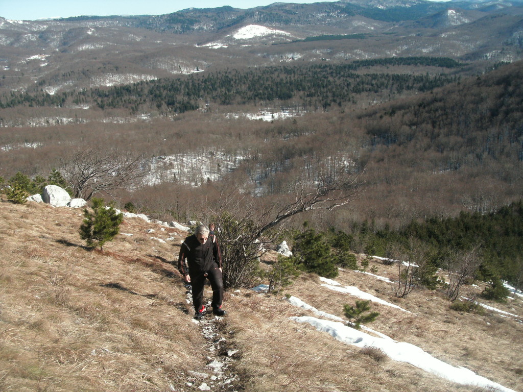 GEDSC DIGITAL CAMERA