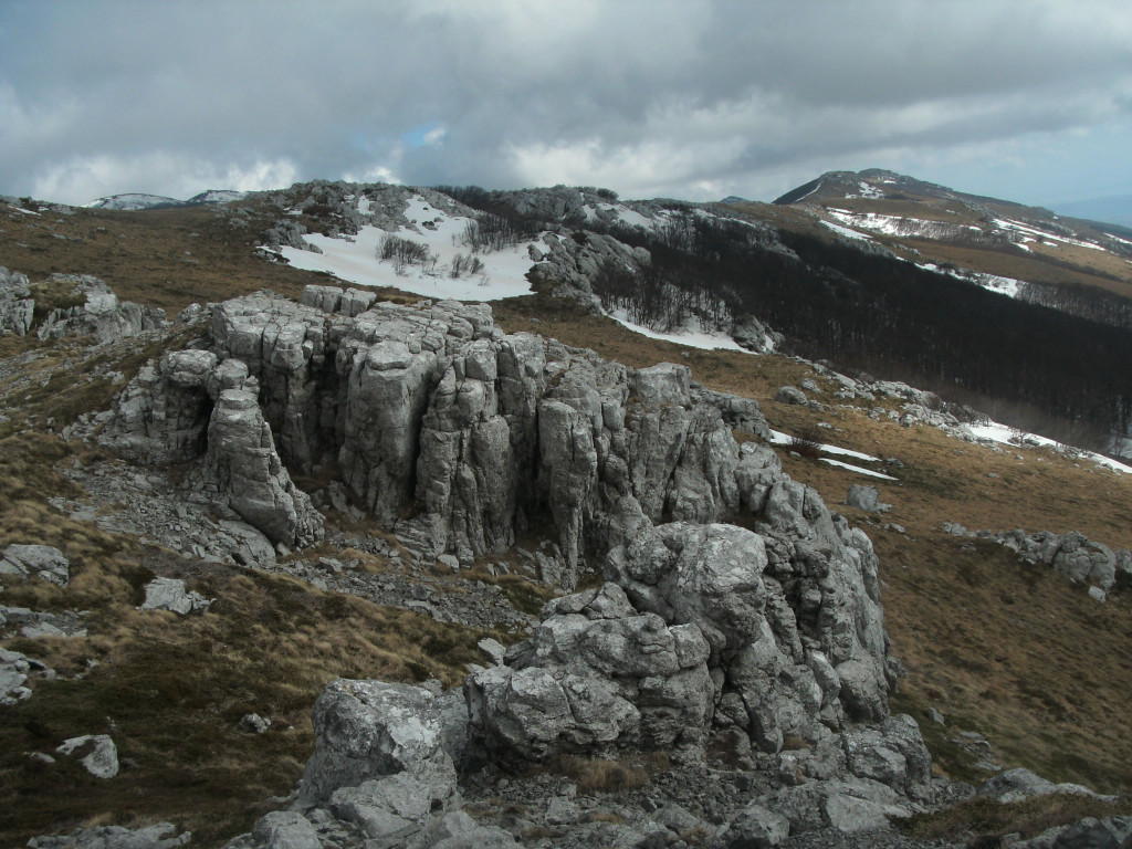 GEDC0743_JPG