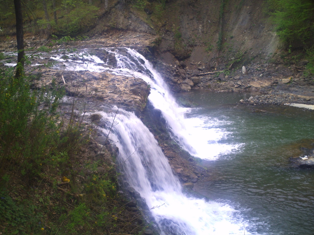 PICT0969