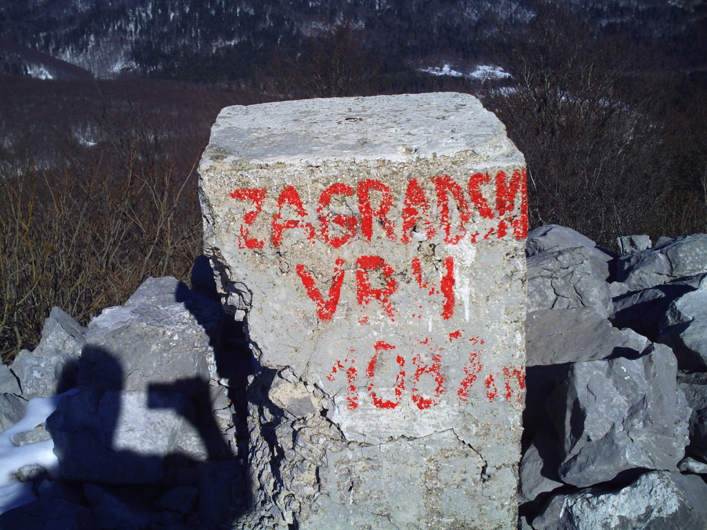 PICT2239