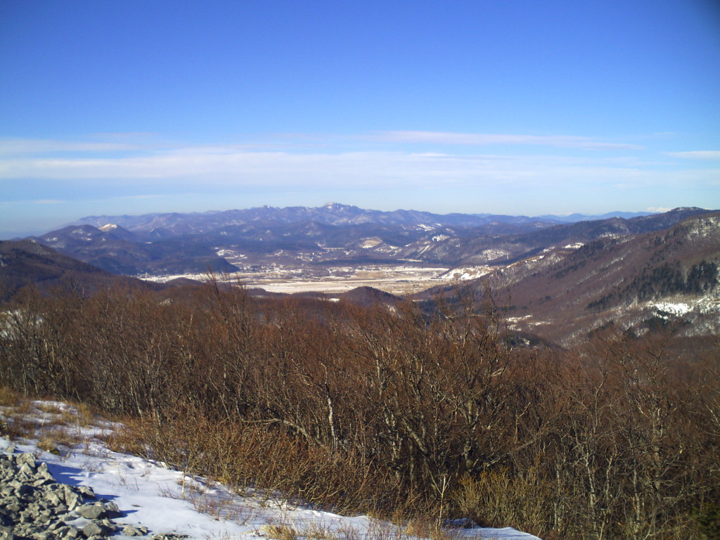 PICT2241